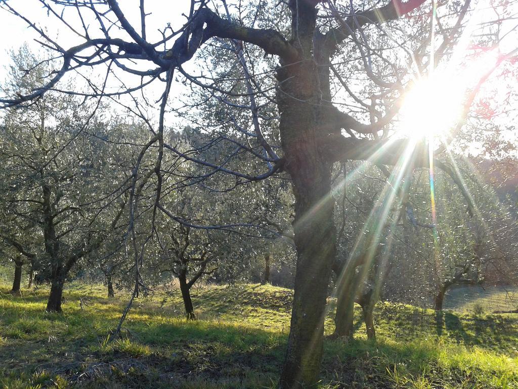 B&B Miravalle Scanzorosciate Bagian luar foto